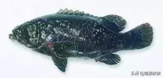 潮汕海鲜大全带图片,十大最好海鲜鱼