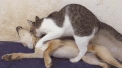 盘点让人哭笑不得的搞笑瞬间,吃瓜搞笑瞬间