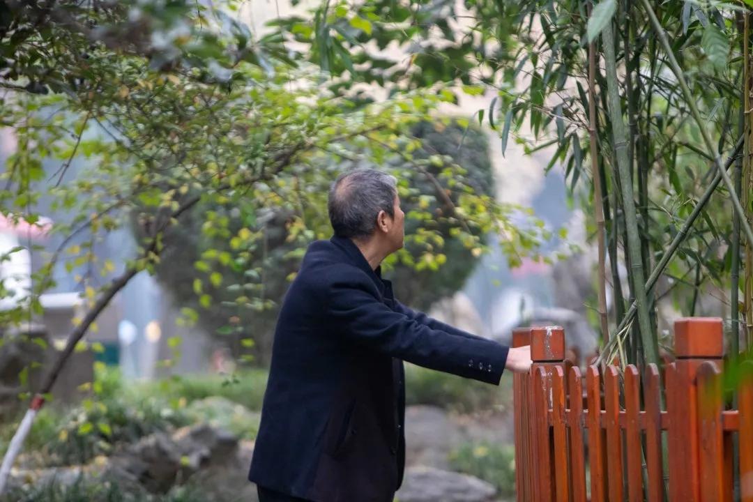 莲湖区晚上哪里可以漫步,莲湖晨练