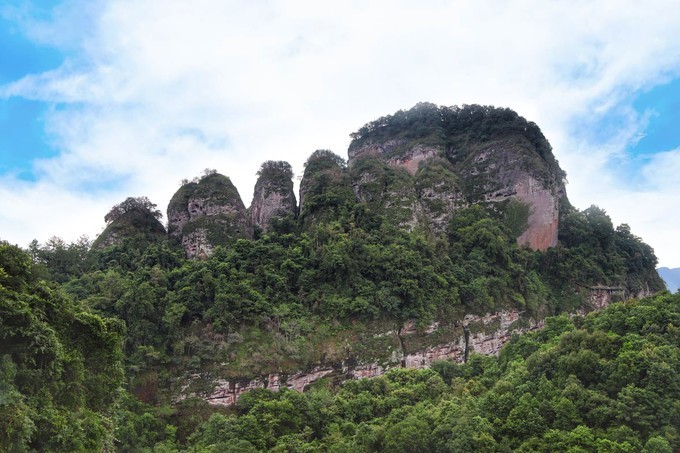 梅州采茶,梅州采茶体验