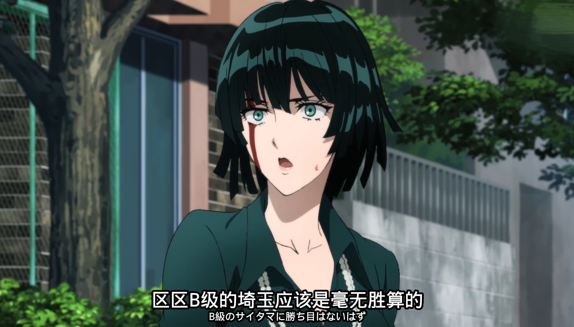 一拳超人英雄协会美女,一拳超人英雄协会s级排名