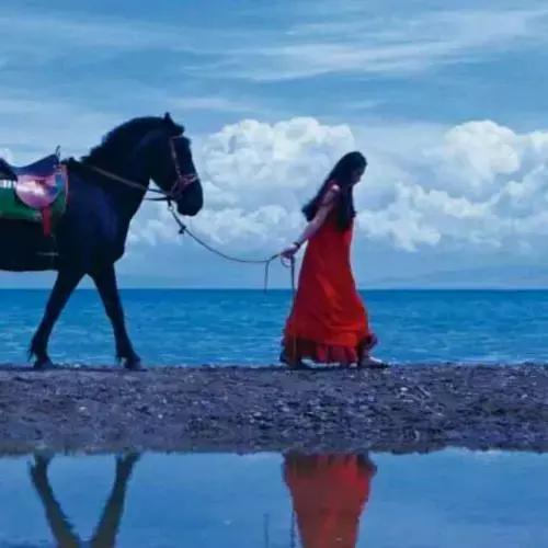 花火赵家四小姐,花火吴小红