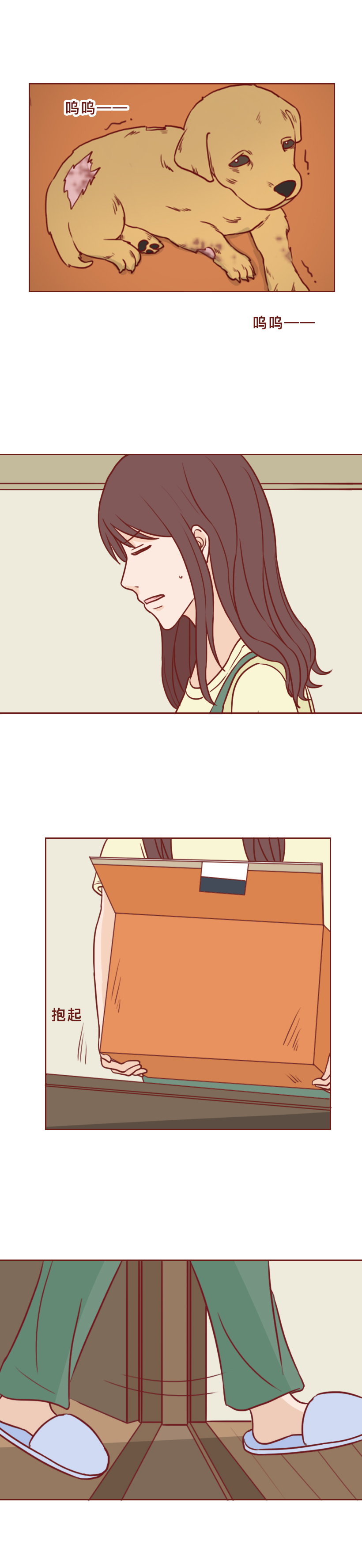 最低9.9，他们被装进盲盒当商品贩卖，漫画揭秘动物盲盒