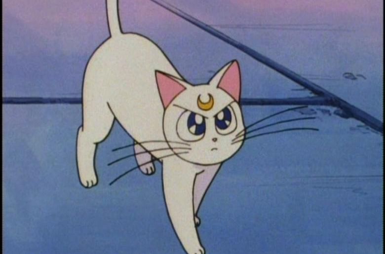 十大名猫动漫,动漫排行榜前十名京剧猫