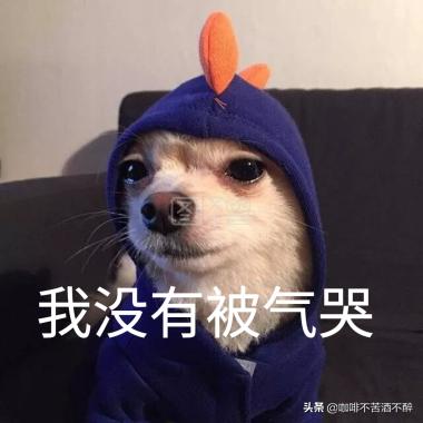 笑话胖子的视频,纹身变胖的笑话