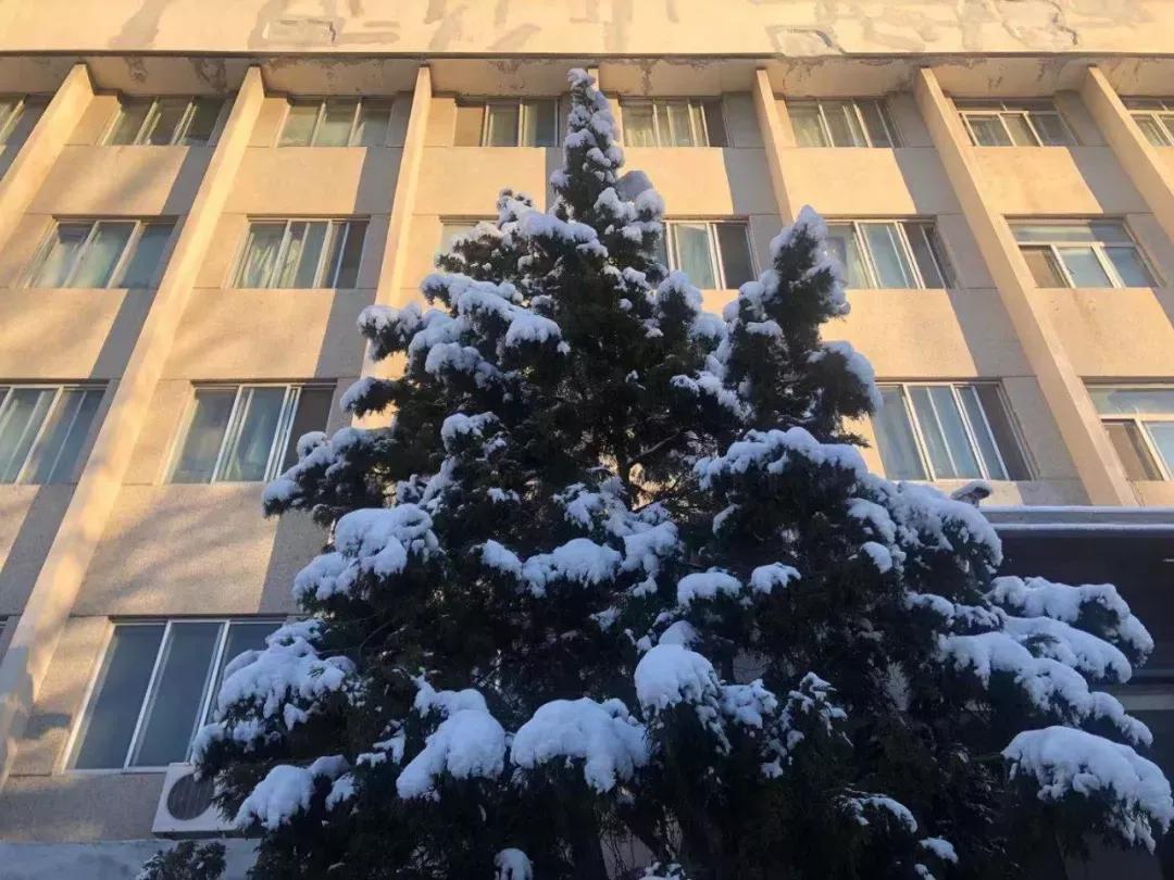 辽宁大学和鲁迅美术学院,辽宁省鲁迅美术学院是985吗