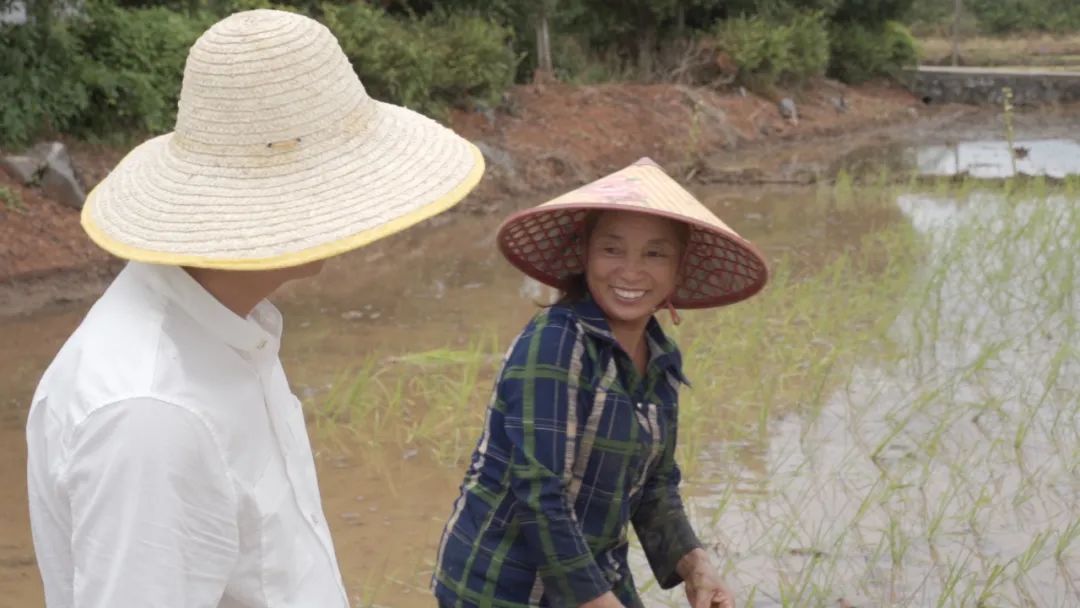 离开体制后创业,离开体制创业成功的企业家