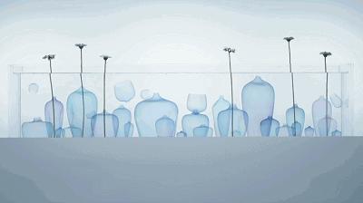 全棉时代广告完整视频,全棉时代广告搞笑视频