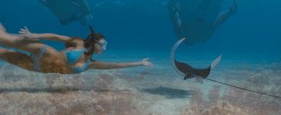 推荐阳光沙滩电影,阳光沙滩电影大全