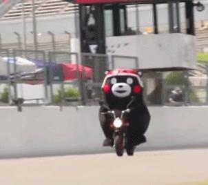 令和2至4年间，在日本购置房屋可抵扣税项多达3类以上