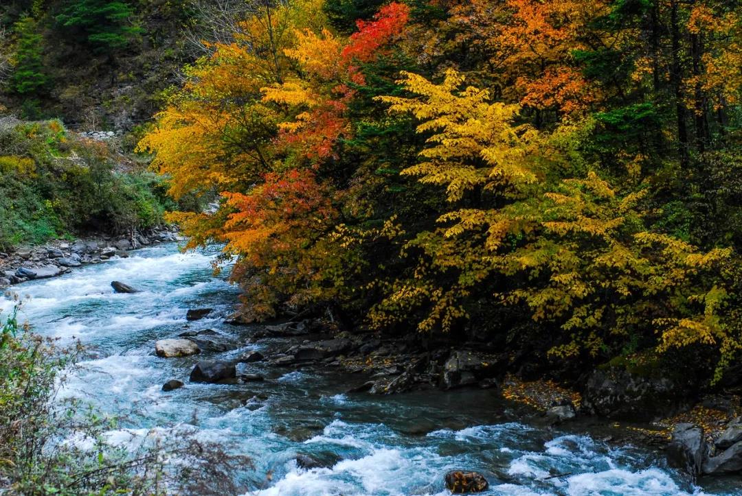 一个被上帝偏爱的地方,一个被上帝遗弃的城市