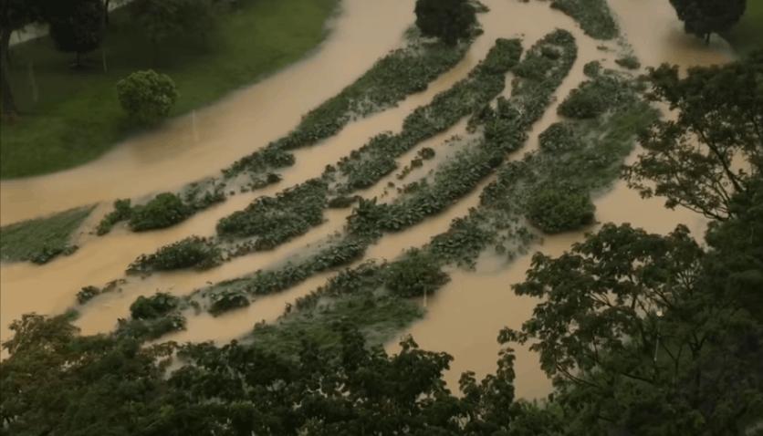 新加坡48小时超强暴雨,新加坡多地遭暴雨侵袭