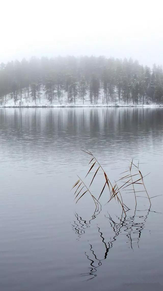 高清壁纸8k风景壁纸,风景壁纸超清手机壁纸
