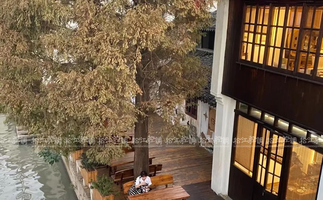 松江佘山辰山植物园一日游攻略,松江方塔园哪好玩