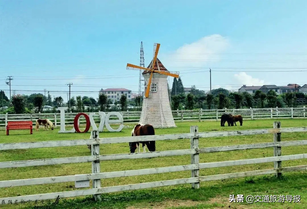 狂撒1.3亿！金华人“青葱价”游金华，十大景点联票10元购！