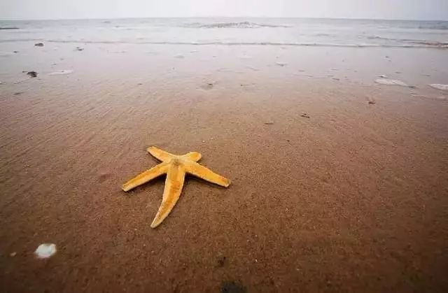 沈阳周边最美海岛大合集，今年夏天避暑就靠它们了