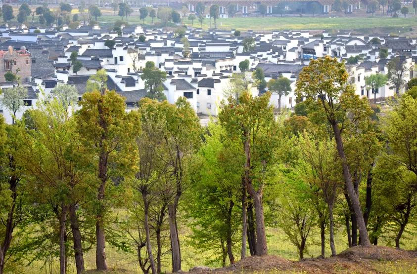 引爆文旅市场,蚌埠城南新建不夜城