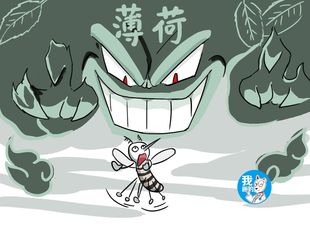 驱蚊对猫咪无危害,对猫咪无害的人用驱蚊产品