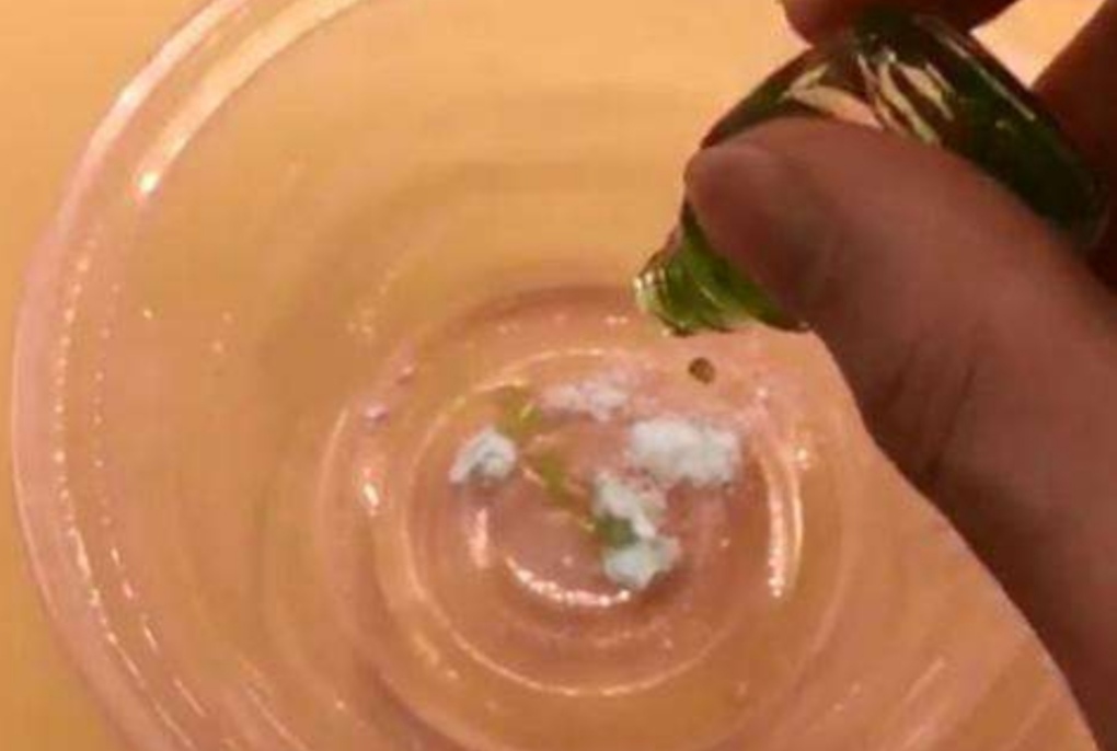 怎么预防花卉生虫,花卉里的虫子怎么治理最好