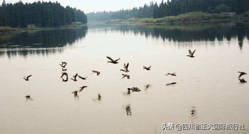 扬州瘦西湖最新旅游消息,扬州瘦西湖最美公园