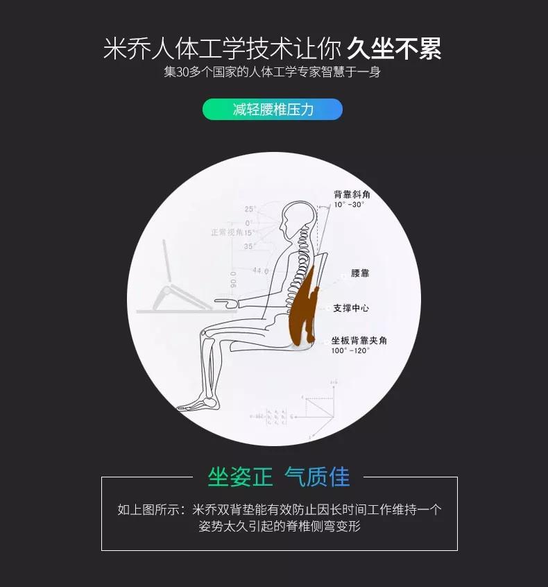 德国变态人体工学腰靠，像一双手托着腰那么舒服，车家办公全能用