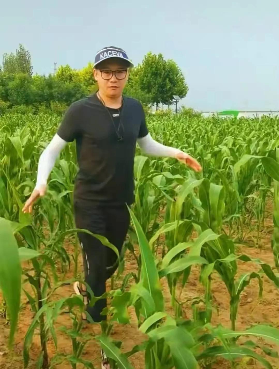 香港黄日华王杰县城捞金，央视郎永淳卖货：赚钱养家就是最大体面