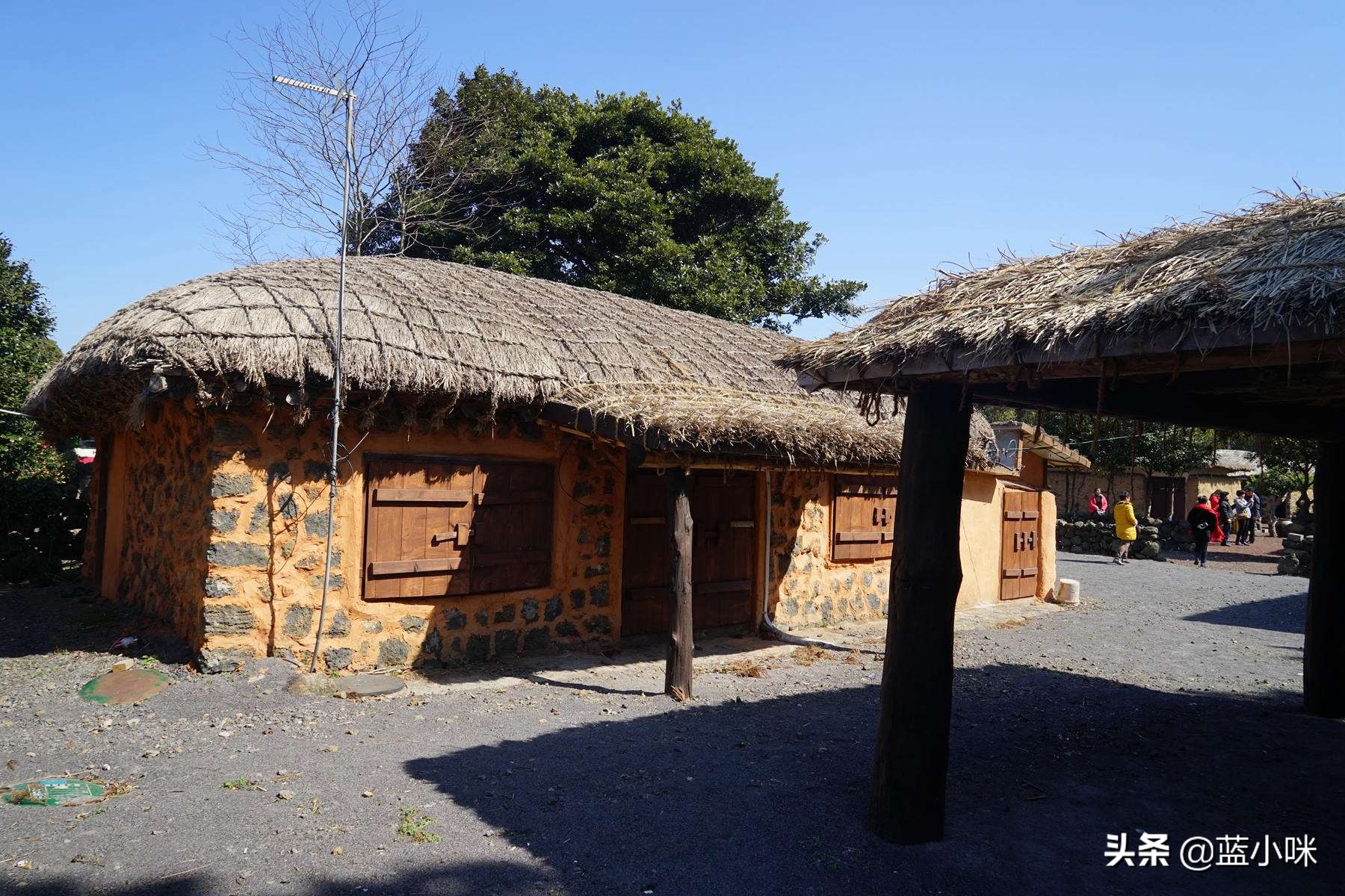 济州岛山君不离完整版,原始济州岛游玩攻略