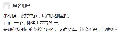 你有没有被蚊子咬到既尴尬又好笑的位置