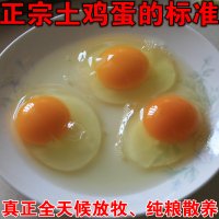 快速带你了解绿壳鸡蛋,揭秘绿壳鸡蛋