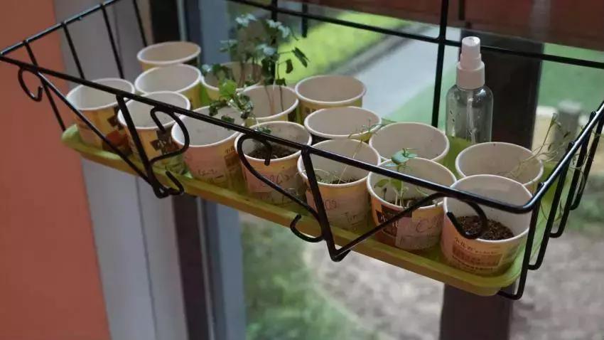 西安曲江德闳学校到底有多好,细节之处见品质