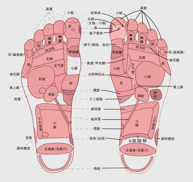可加热足浴盆可折叠,折叠足浴按摩加热洗脚盆