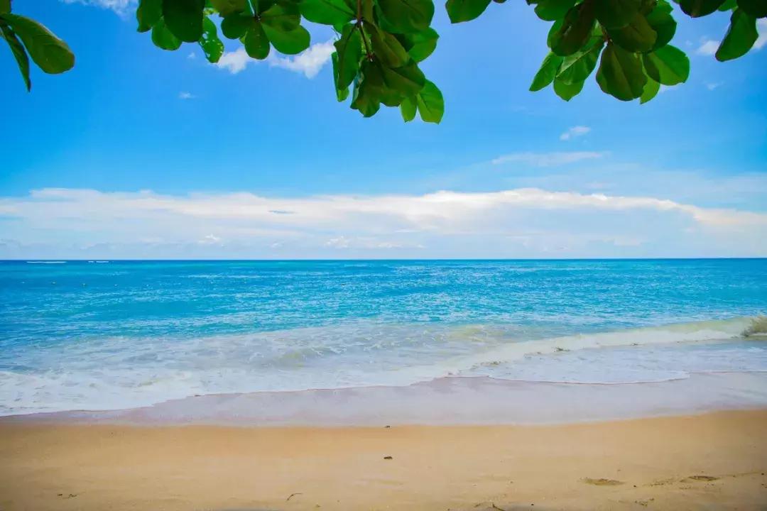 深圳小梅沙海滩在哪里,深圳小梅沙海滩