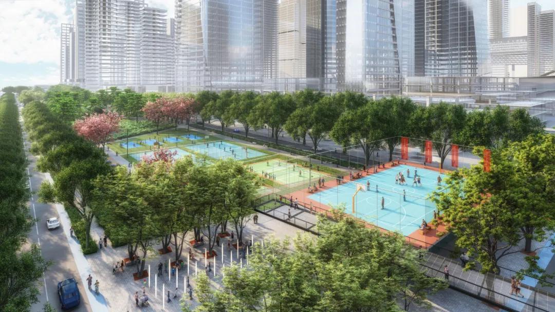 深圳湾超级总部基地绿化,深圳湾超级基地