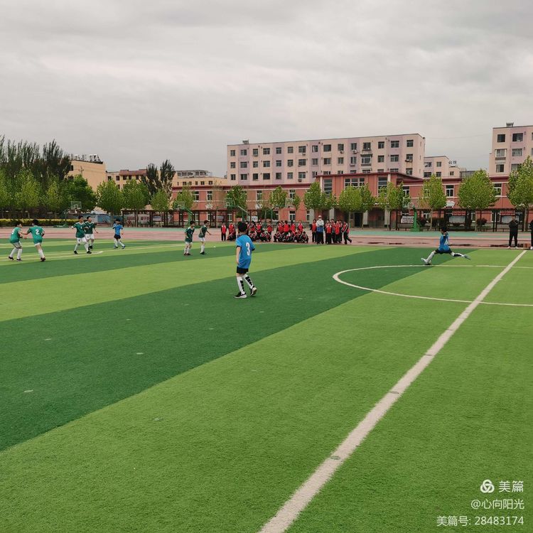 辽河油田兴隆台第三小学第三届校园足球联赛圆满结束