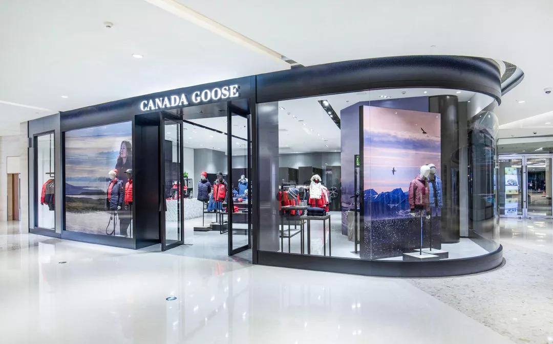 加拿大鹅既要风度又要温度,加拿大鹅冬天怎么保暖的