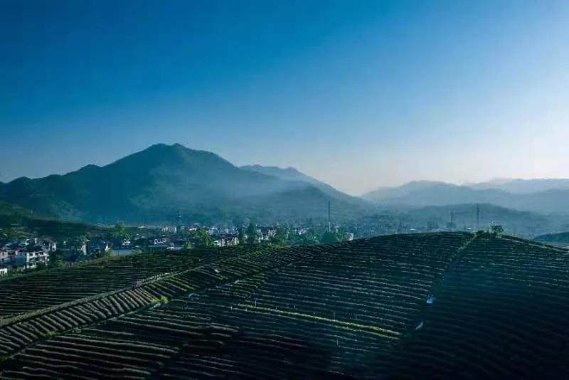 杭州适合拍照风景区,杭州最值得打卡的风景区