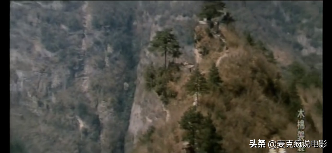 中国国产武打片少林寺,少林寺十大经典武打电影