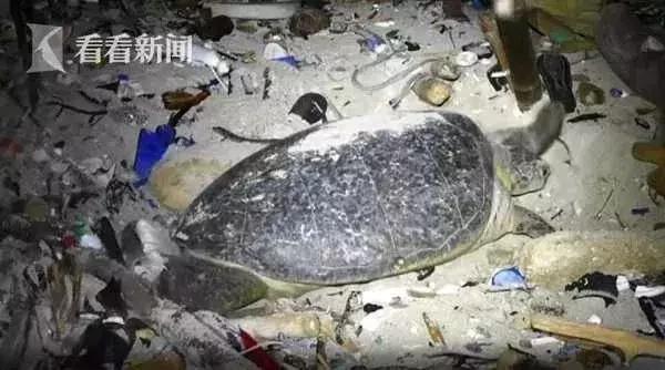 救救她韩语,救救她