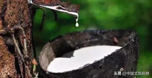 云南又在央视火了！这份云南2019新简历要藏不住了！