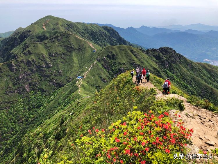 初夏游江西：历经晴、雨、雾，穿越武功山