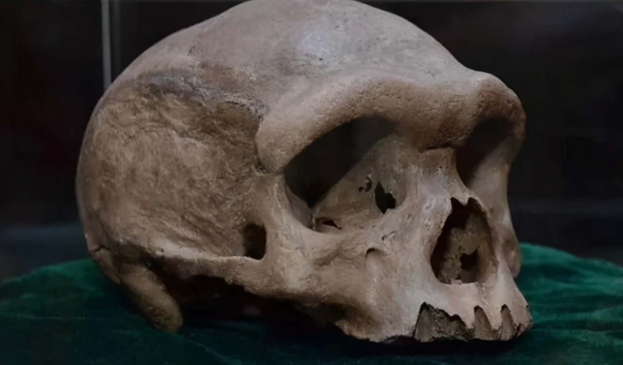 人类史要重写？我国发现了新人种“龙人”，为什么后来消失了？