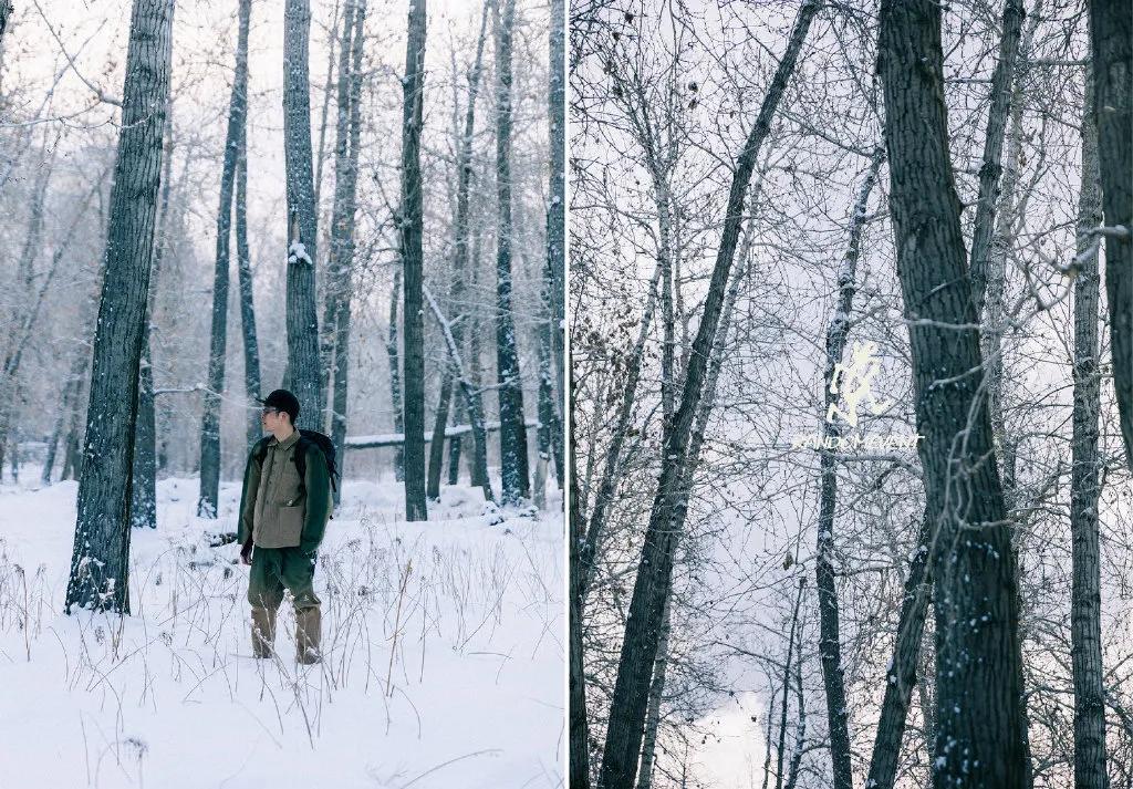 每周TOP10案例：奶茶色号、吾辈问答、跨次元晚会