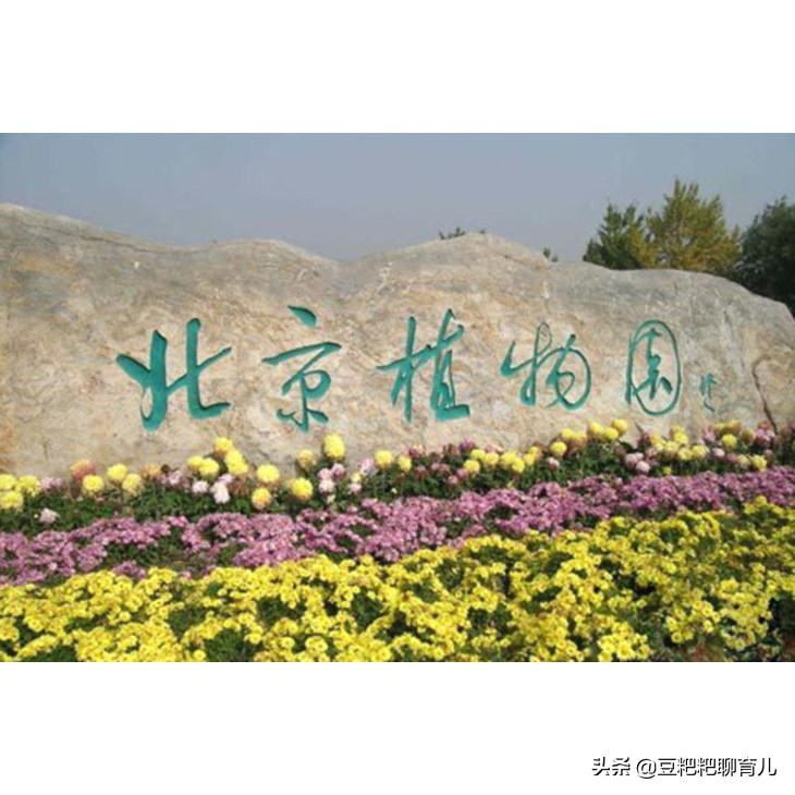 亲子游玩动物园地点推荐,假期亲子去哪玩