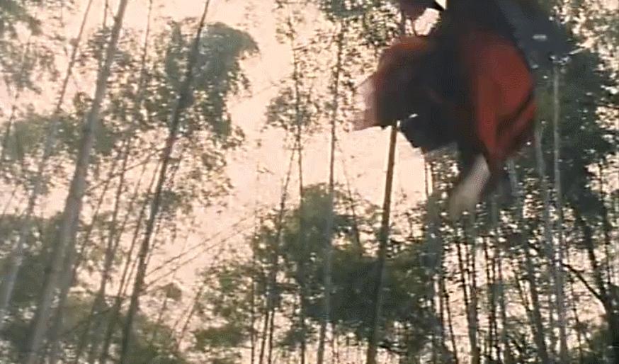 甄子丹最巅峰武打片,甄子丹功夫排第几