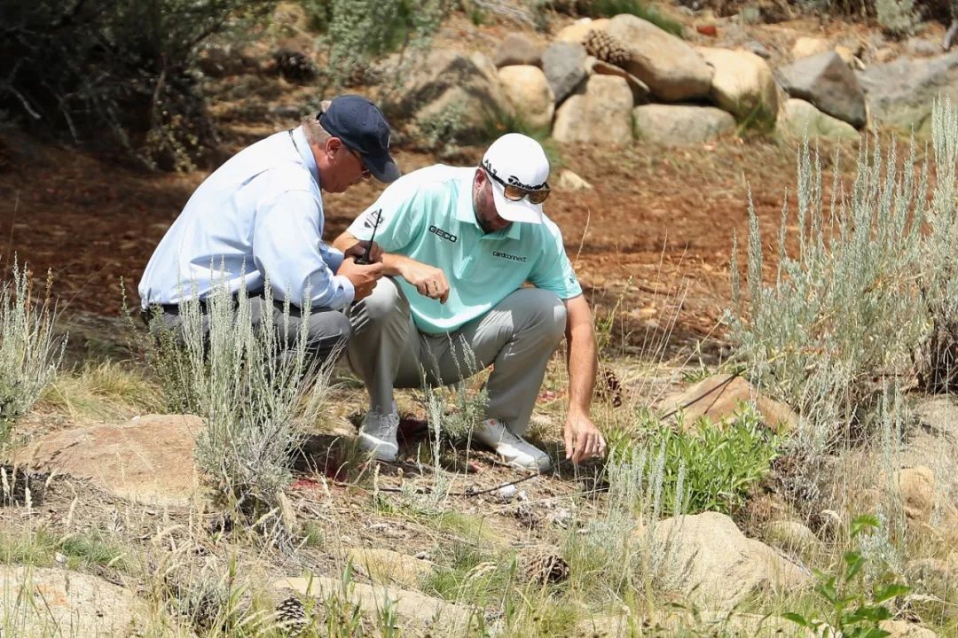 揭秘高尔夫内部,高尔夫最新政策