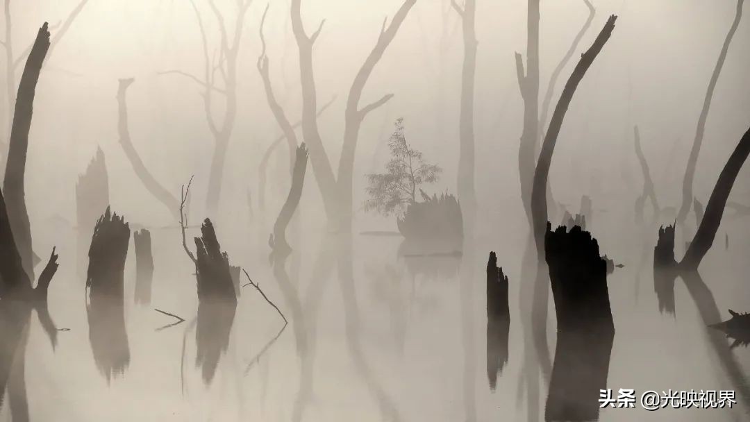 葡萄牙摄影大师获奖自然摄影作品,澳大利亚摄影师经典风景摄影作品