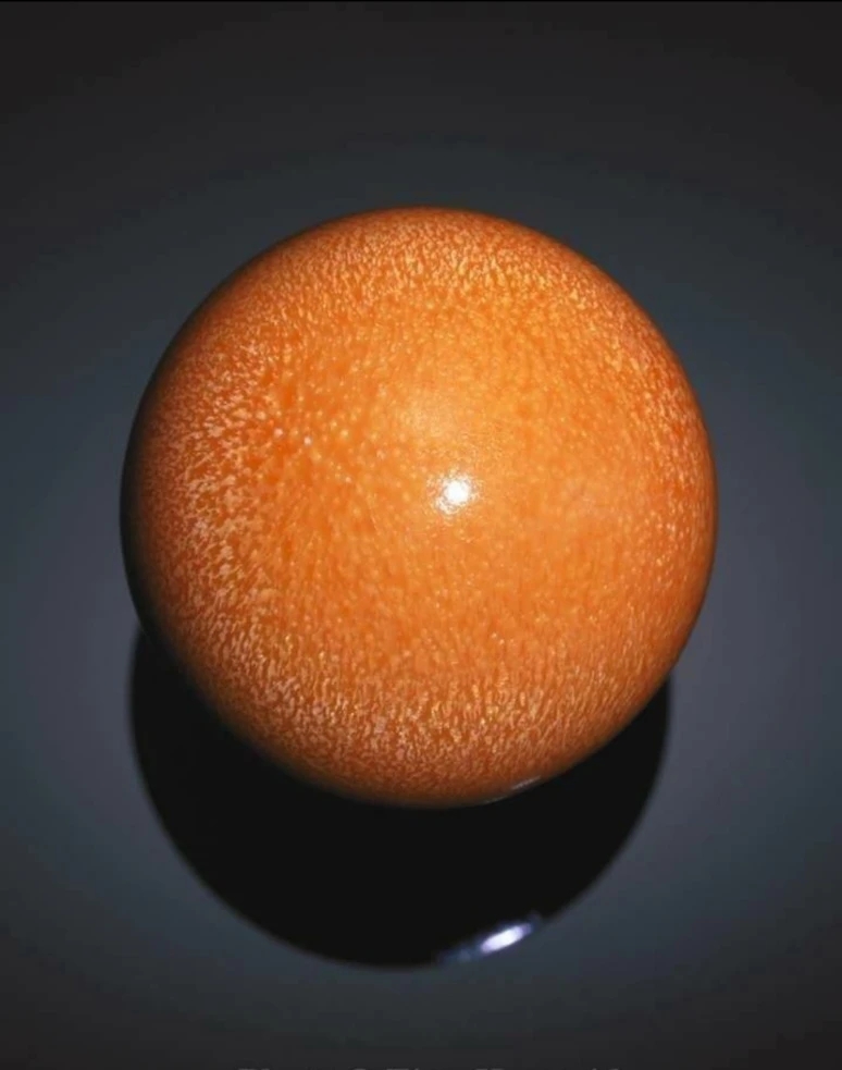 海螺价值连城的珍珠,买海螺吃出价值连城的珍珠