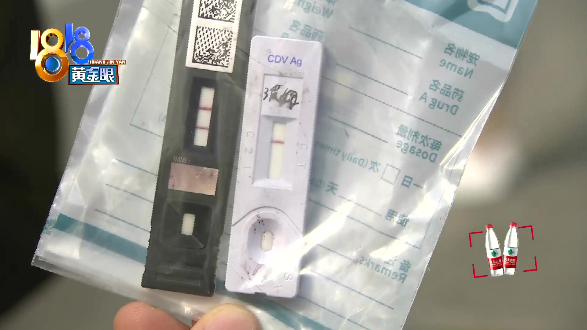 刚买10天不到的小狗被炖了,买来三天小狗就腿站不直了