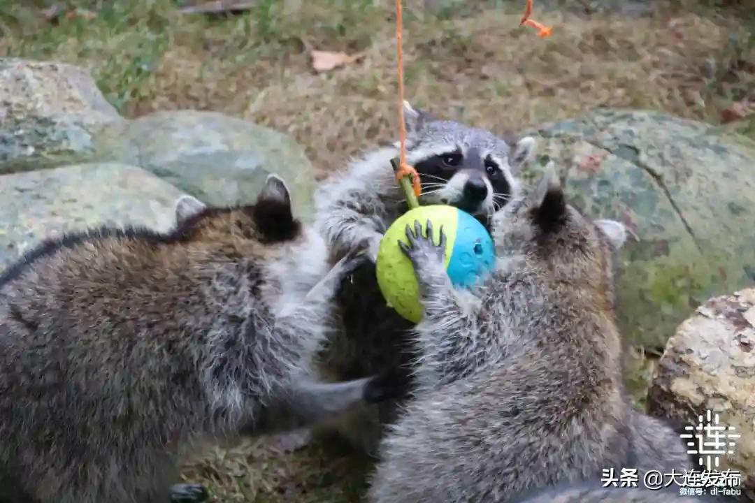 黄金周不打烊,黄金周不出门