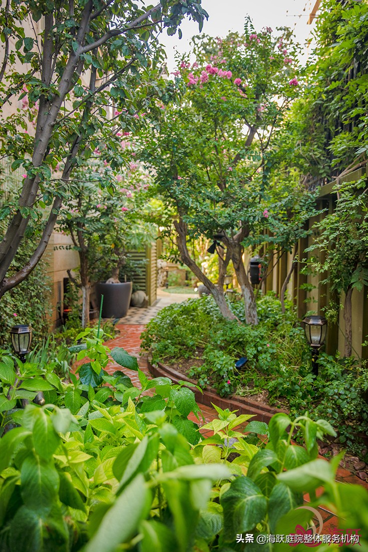 怎样建造自己的院子美观,庭院种植区该怎么设计